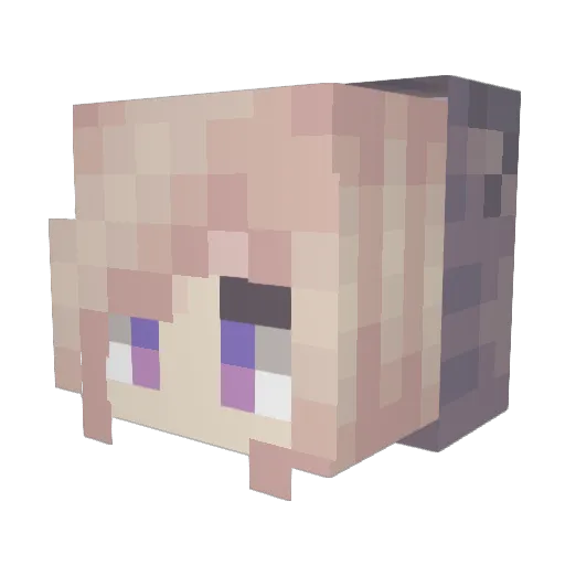 Chee4 Minecraft avatar head, 3D render