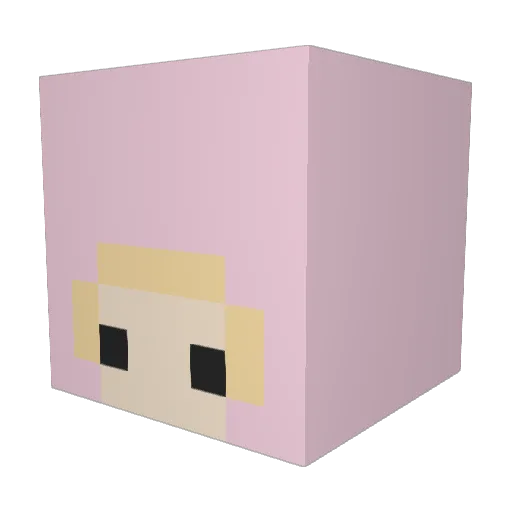 Cheeeeeeeeezz Minecraft avatar head, 3D render