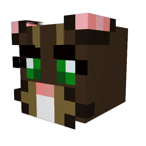 CheekyLady Minecraft avatar head, 3D render