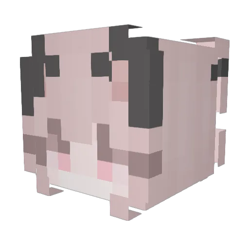 Cheeky_Tiger Minecraft avatar head, 3D render