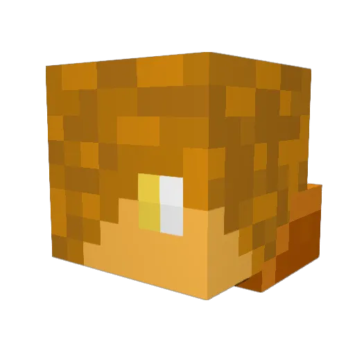 Cheekycookie78 Minecraft avatar head, 3D render