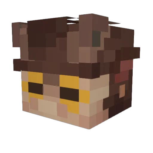 Cheem00 Minecraft avatar head, 3D render