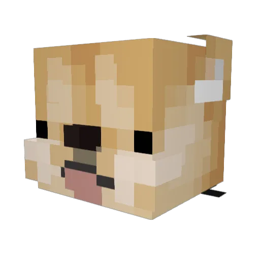 CheemskiYT Minecraft avatar head, 3D render