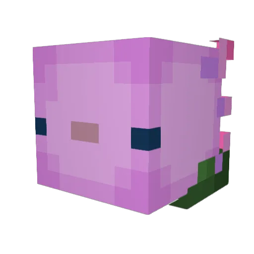 Cheepdude Minecraft avatar head, 3D render