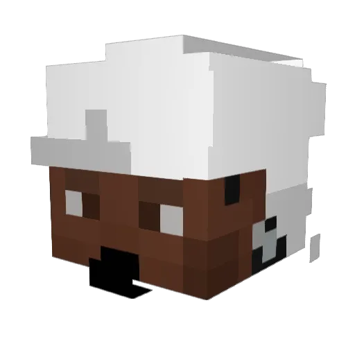 CheerfulMichal Minecraft avatar head, 3D render