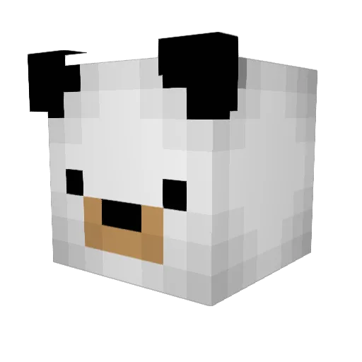 Cheerio1213 Minecraft avatar head, 3D render