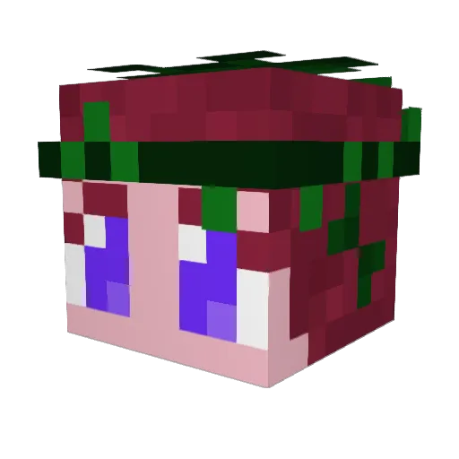 Cheerybelle Minecraft avatar head, 3D render