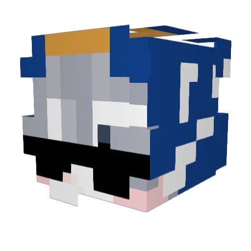 Cheese1019 Minecraft avatar head, 3D render