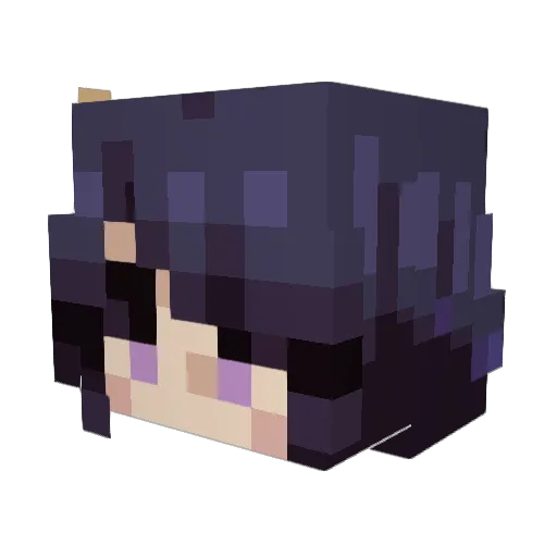 Cheese3rdBurgah Minecraft avatar head, 3D render