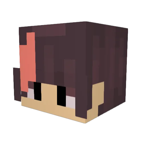 Cheese4884 Minecraft avatar head, 3D render