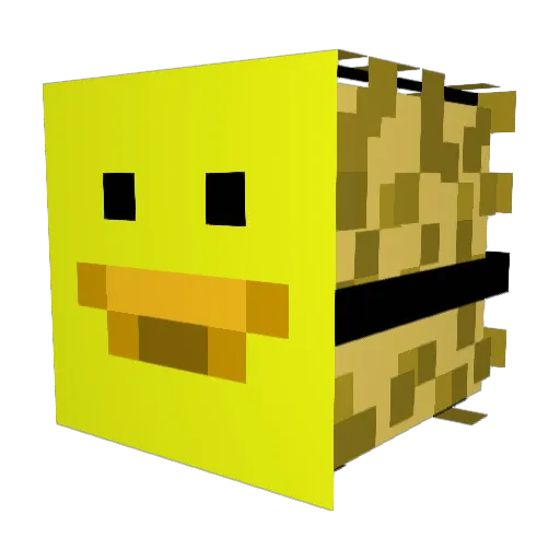 CheeseBird Minecraft avatar head, 3D render