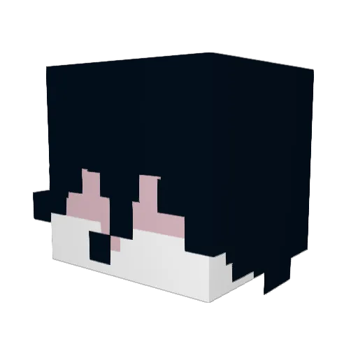CheeseBook Minecraft avatar head, 3D render