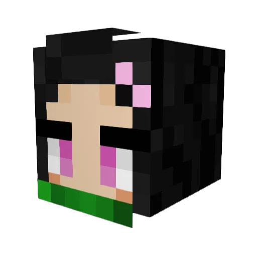 CheeseCakeNarwal Minecraft avatar head, 3D render