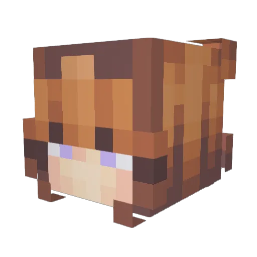 CheeseCakeian Minecraft avatar head, 3D render