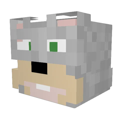 CheeseRat206 Minecraft avatar head, 3D render
