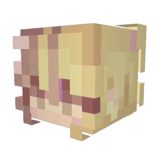 CheeseWriter Minecraft avatar head, 3D render