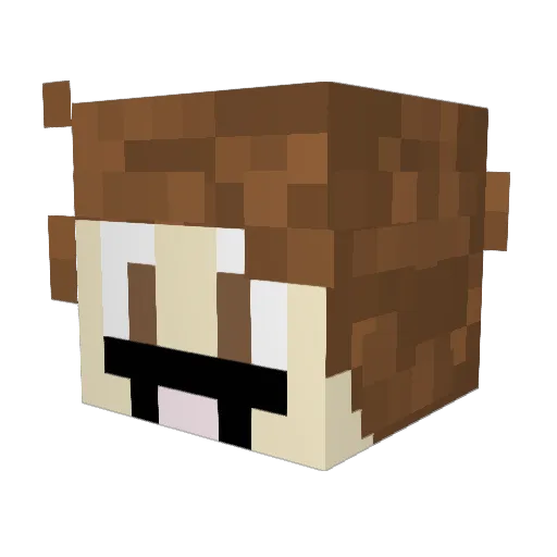 Cheese_toe_196 Minecraft avatar head, 3D render