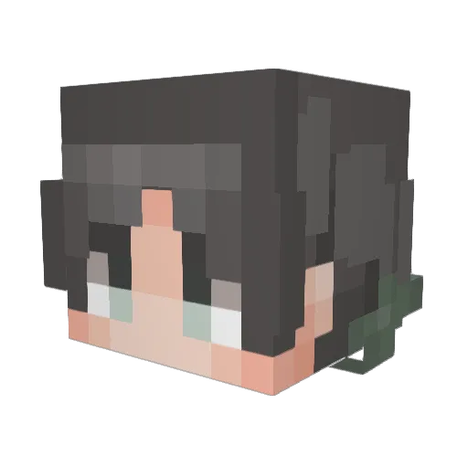 CheesebagFTW Minecraft avatar head, 3D render