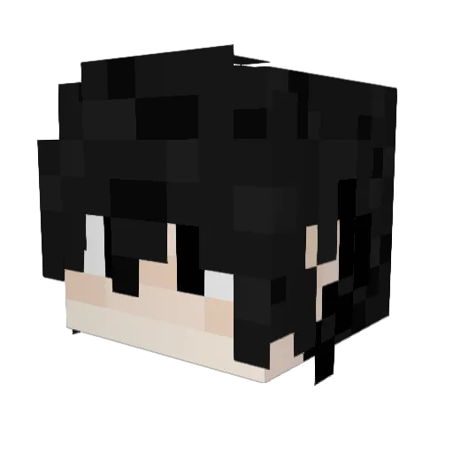 Cheeseball200 Minecraft avatar head, 3D render