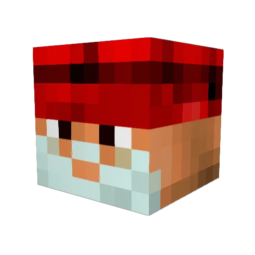 Cheeseball420 Minecraft avatar head, 3D render