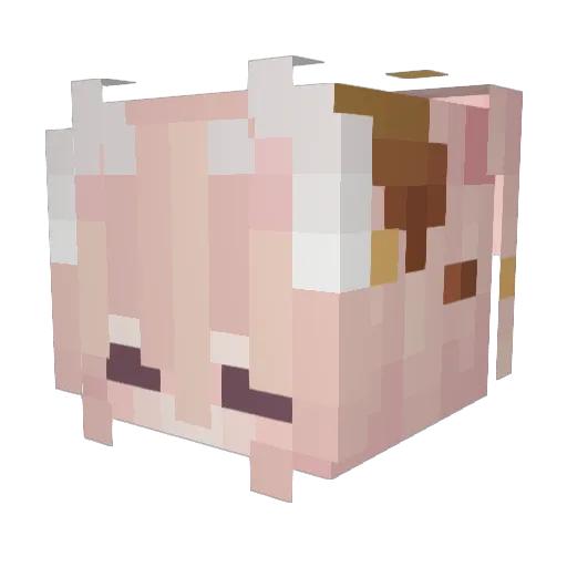 Cheesecake70 Minecraft avatar head, 3D render