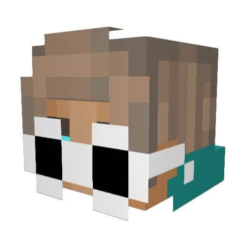 CheeseyFry Minecraft avatar head, 3D render