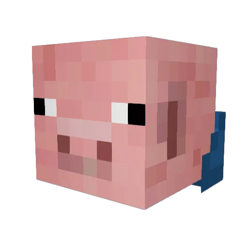 Cheesey_Panda Minecraft avatar head, 3D render