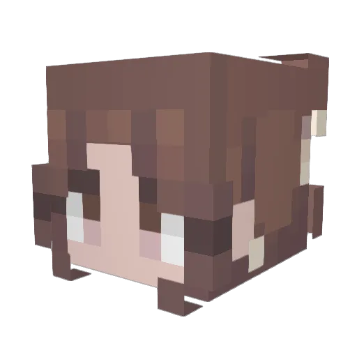 Cheesey_crackerz Minecraft avatar head, 3D render