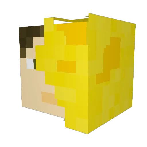 Cheeseyguy17 Minecraft avatar head, 3D render