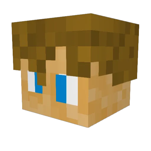 Cheesy2894 Minecraft avatar head, 3D render