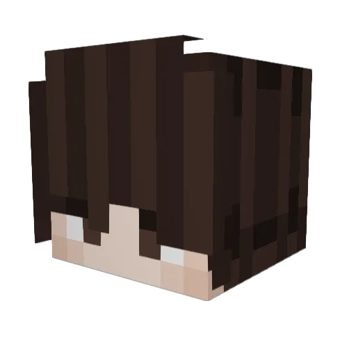 CheesyBee_ Minecraft avatar head, 3D render