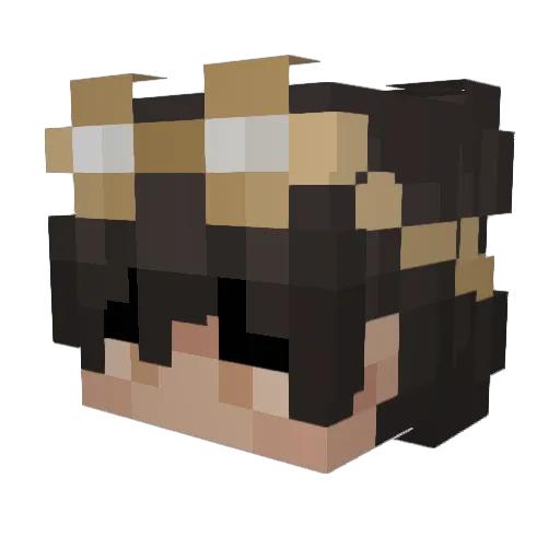 Cheesy_E1 Minecraft avatar head, 3D render
