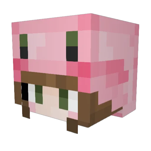Cheesygamer255 Minecraft avatar head, 3D render