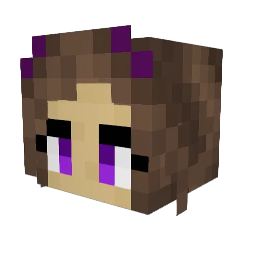 Cheesyllama8952 Minecraft avatar head, 3D render