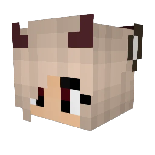 Cheetah04 Minecraft avatar head, 3D render