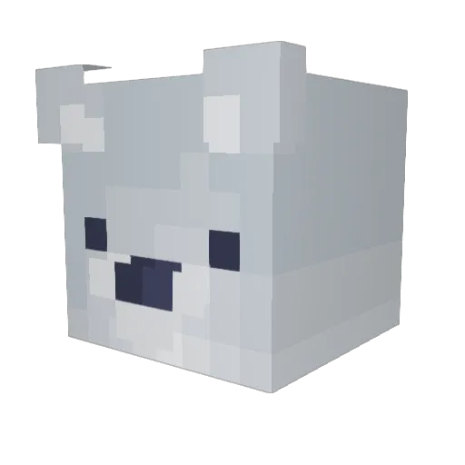 Cheetah6253 Minecraft avatar head, 3D render