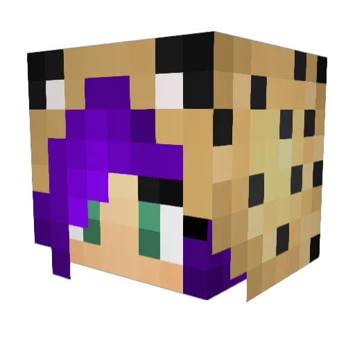 CheetahRaegan Minecraft avatar head, 3D render