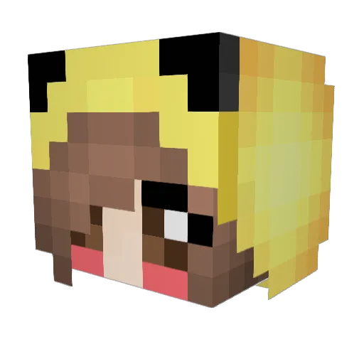 Cheetah_27 Minecraft avatar head, 3D render