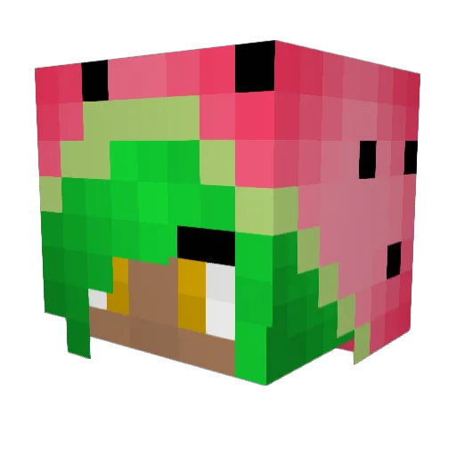Cheetahbri21 Minecraft avatar head, 3D render