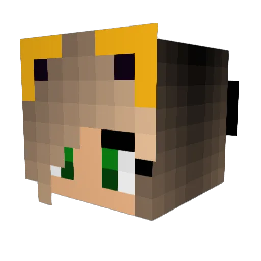 Cheetahsify Minecraft avatar head, 3D render