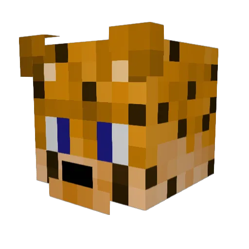 CheetnCheetah123 Minecraft avatar head, 3D render