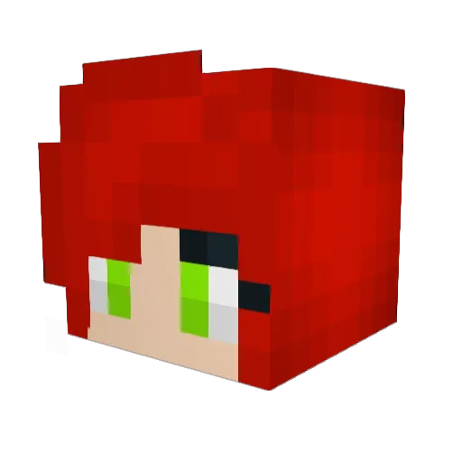 Cheeto731 Minecraft avatar head, 3D render