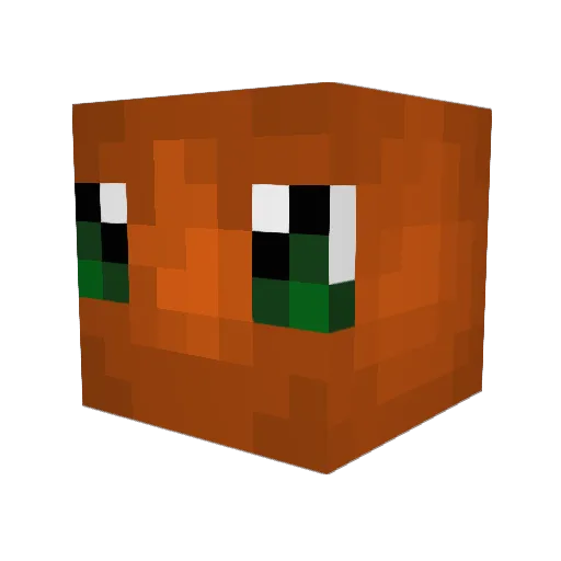 Cheeto_Niko Minecraft avatar head, 3D render