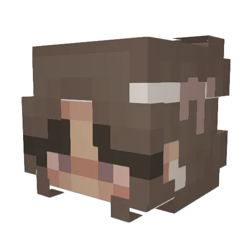 CheetoxMeeto Minecraft avatar head, 3D render