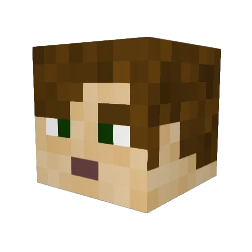 Cheezburger115 Minecraft avatar head, 3D render
