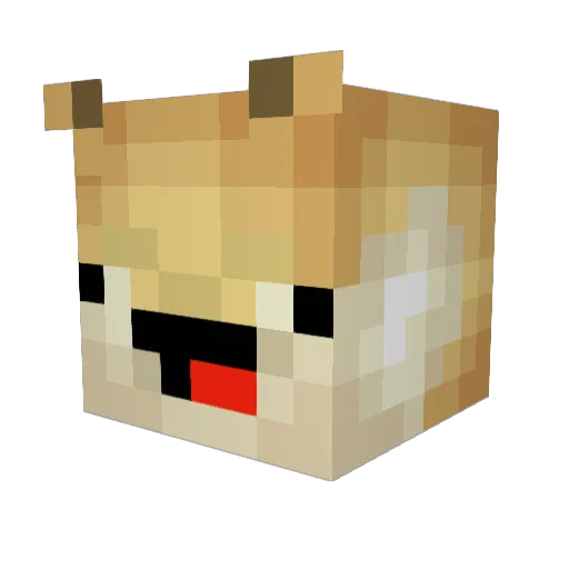 CheezyBurgerz Minecraft avatar head, 3D render