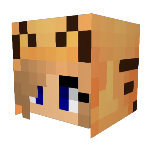 CheezyF33t Minecraft avatar head, 3D render