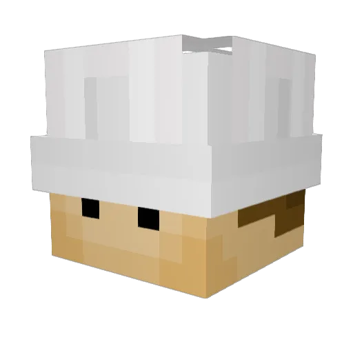 ChefAkati Minecraft avatar head, 3D render