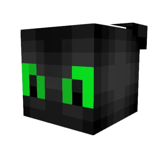 ChefSalame Minecraft avatar head, 3D render