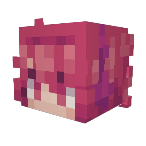 ChefWookiee Minecraft avatar head, 3D render